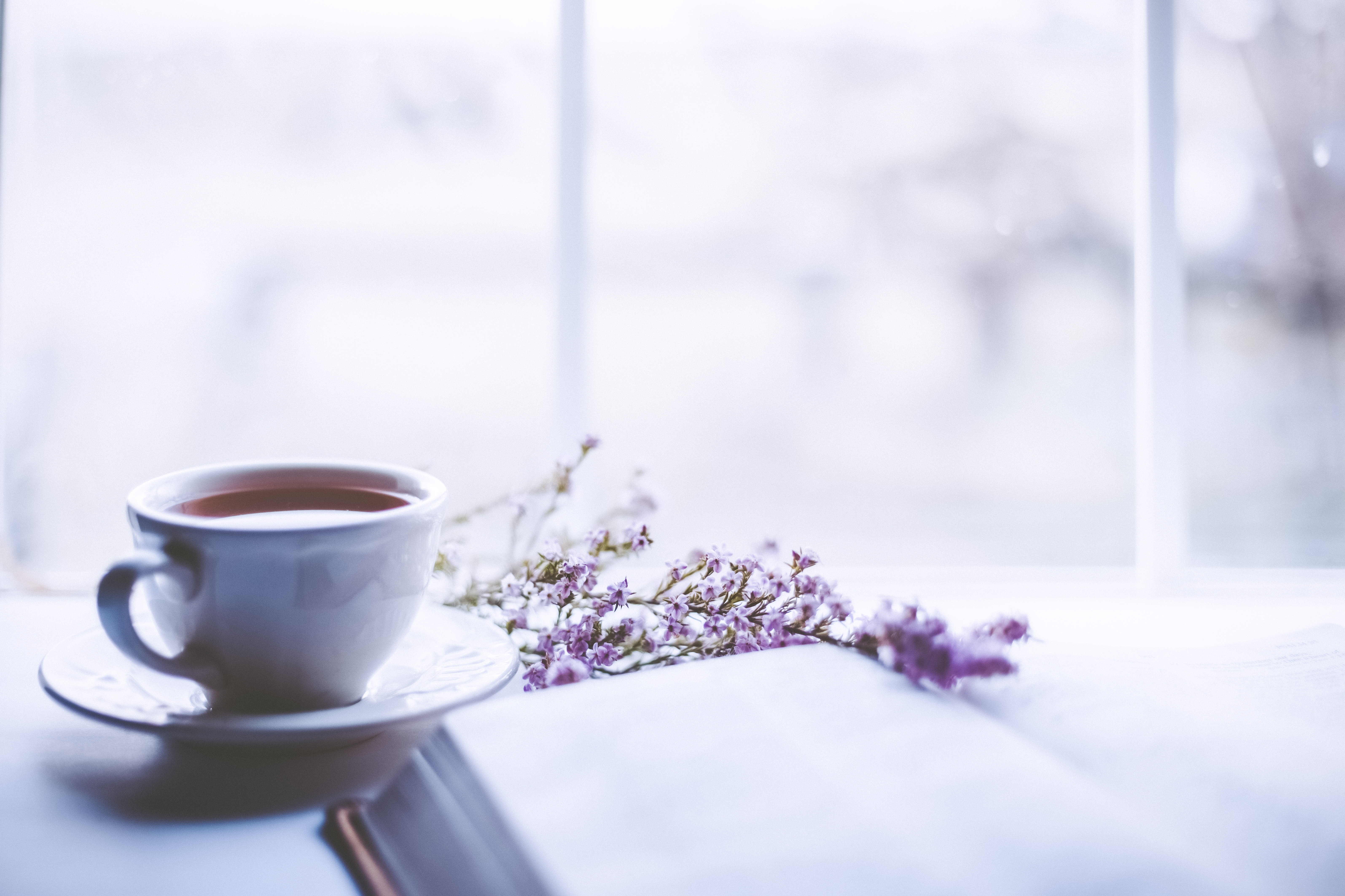 3 Herbal Tea Recipes for Sleep and Insomnia